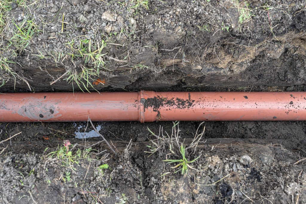 Ceys Paso Fosa Septica - 16 Pastiglie Per Manutenzione E Pulizia Di Fosse Settiche E Impianti Di Scarico